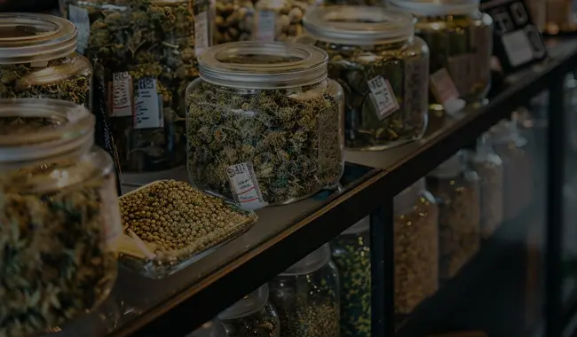 Best jar of marijuana seeds at seed depot.
